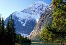 IM电竞下载app-Rookie在切尔西比赛中刷新纪录，表现优异引发热议！